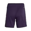 Manchester United Soccer Shorts 2025/26 Away - ijersey
