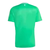 Manchester United Goalkeeper Jersey 2025/26 Green - ijersey