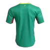 Senegal Jersey 2026 Player Version Away World Cup - ijersey