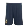 Argentina Soccer Shorts 2026 Home World Cup - ijersey