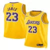 JAMES #23 Los Angeles Lakers NBA Jersey 2025/26 - Icon Edition - ijersey